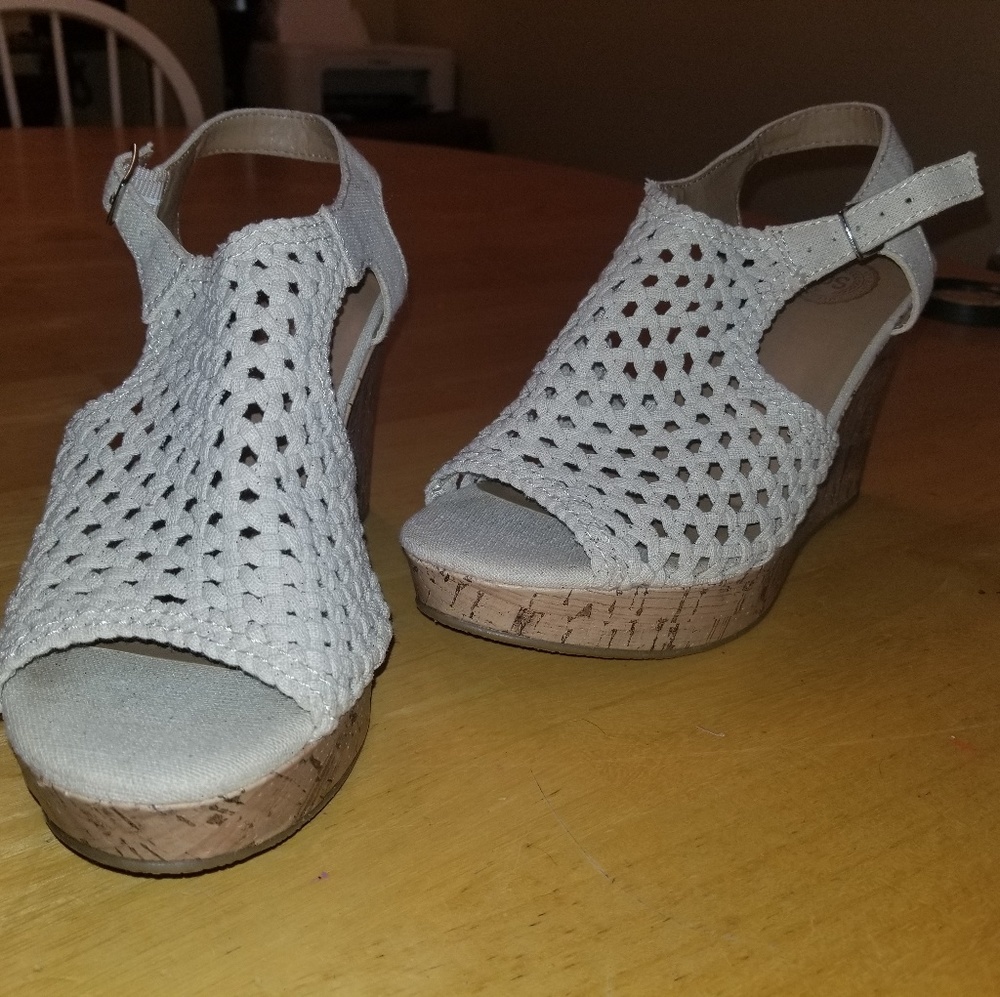 SO 4in wedges
